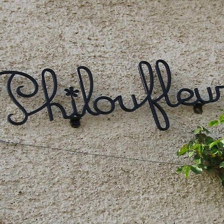 Philoufleur - Gite Restaure En Campagne Chaneins Luaran gambar