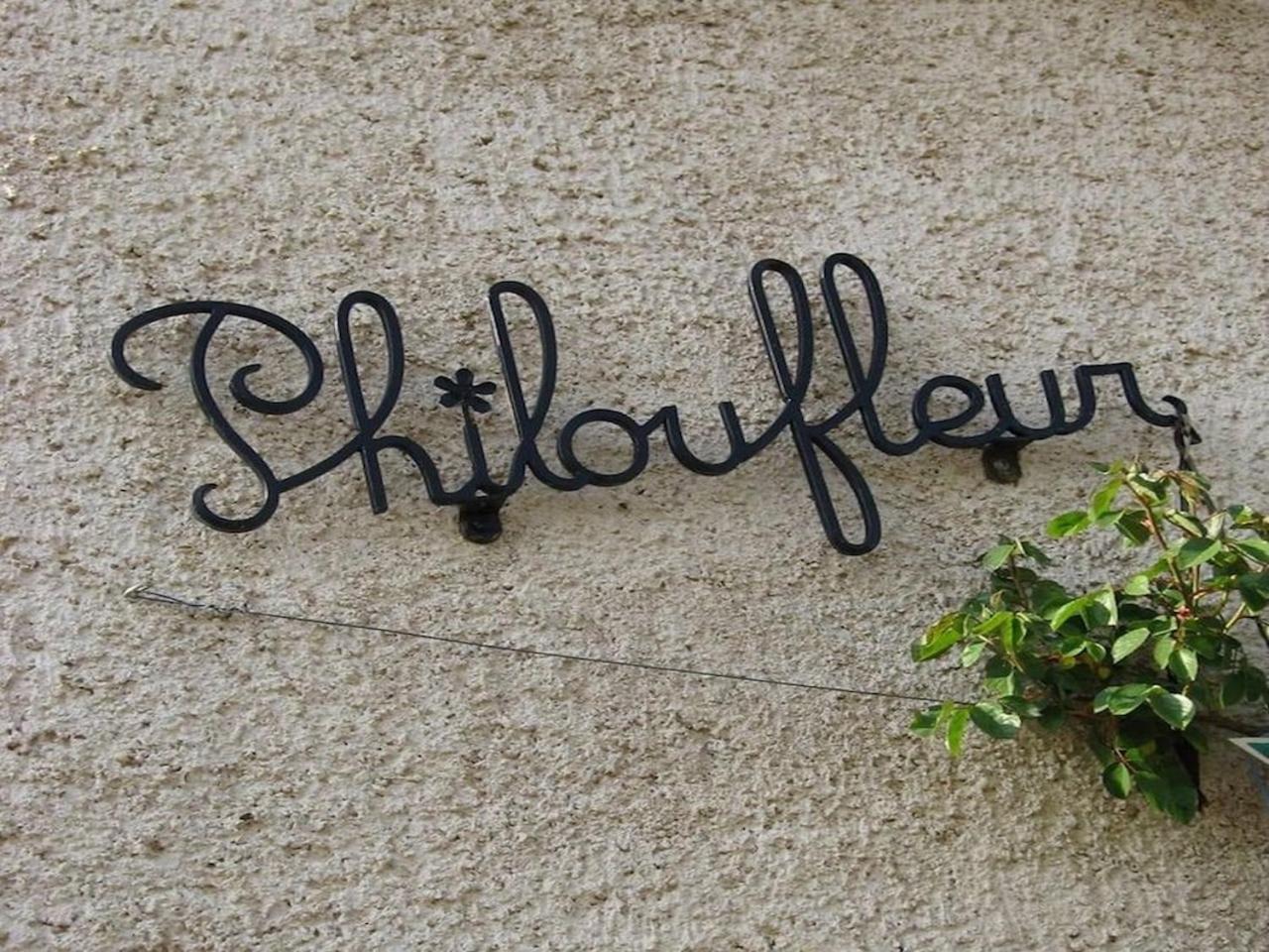 Philoufleur - Gite Restaure En Campagne Chaneins Luaran gambar
